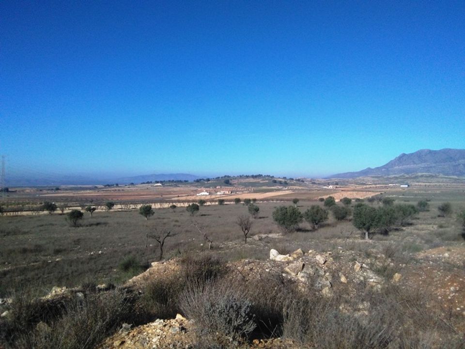 Helårsgrund i Torre Del Rico, Murcia - foto 1