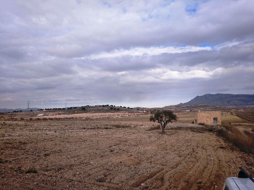 Helårsgrund i Torre Del Rico, Murcia - foto 2