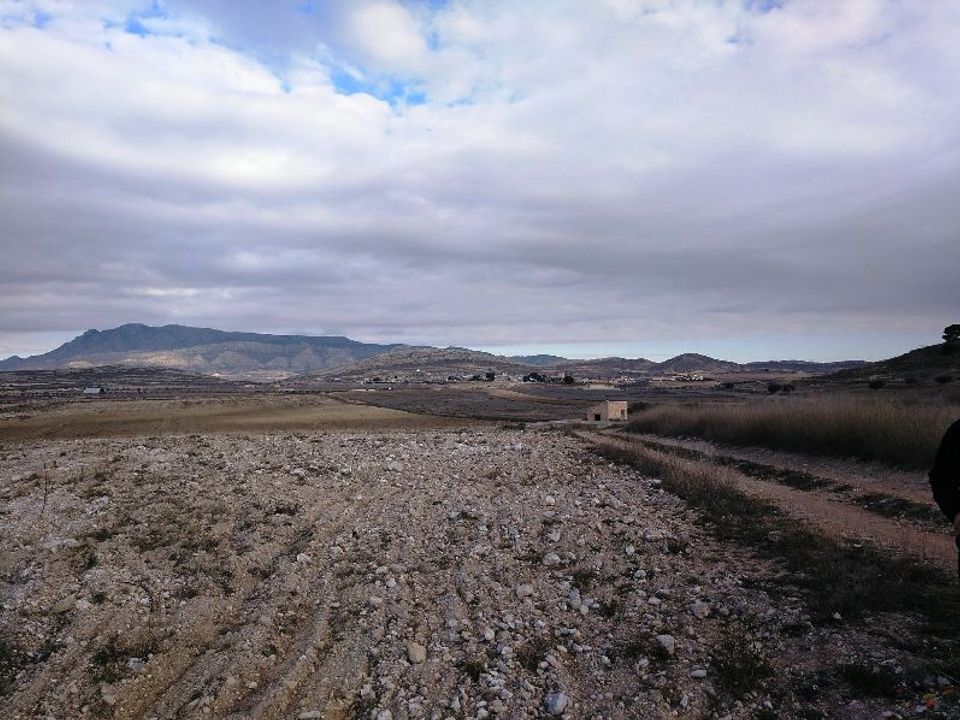 Helårsgrund i Torre Del Rico, Murcia - foto 3