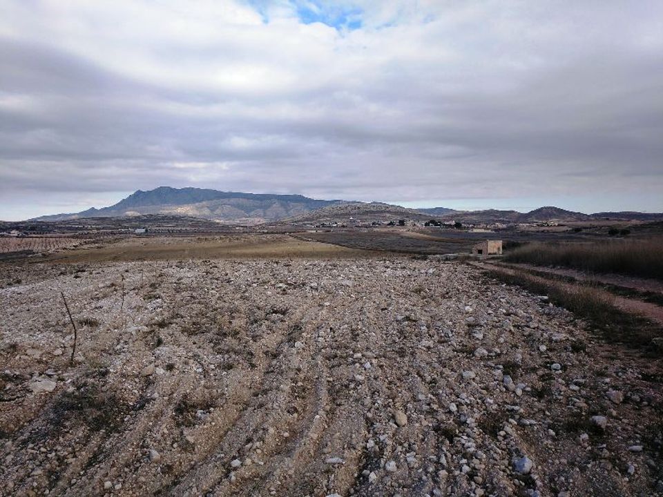 Helårsgrund i Torre Del Rico, Murcia - foto 4