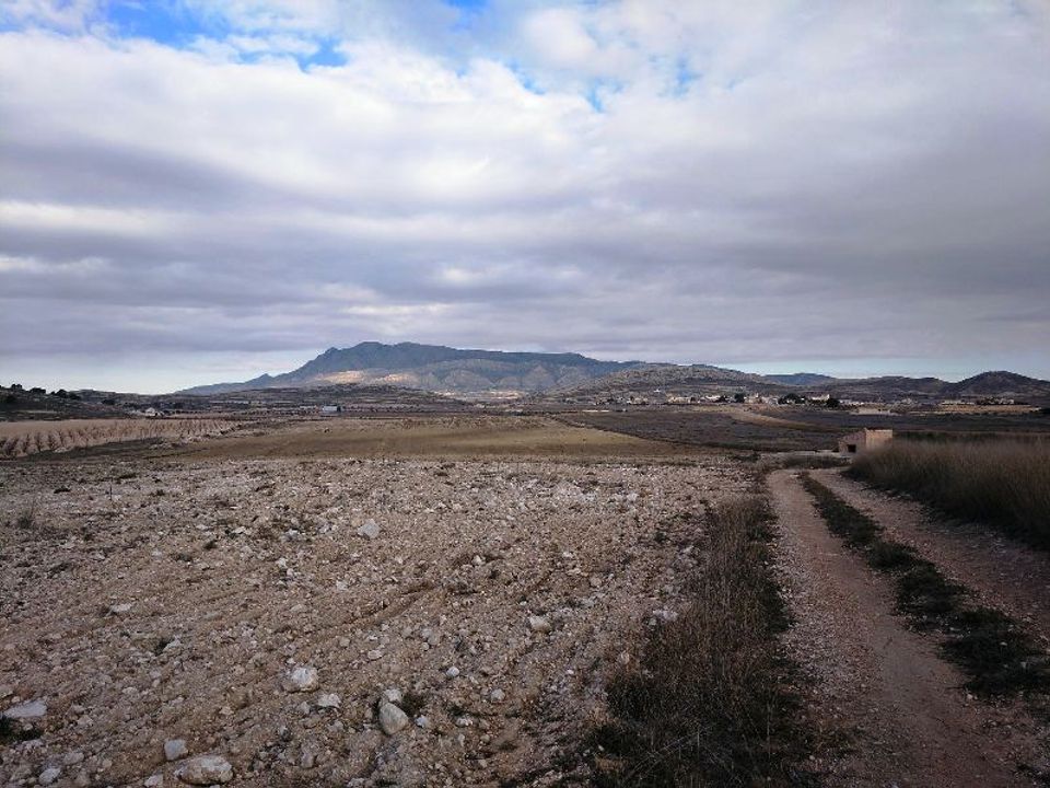 Helårsgrund i Torre Del Rico, Murcia - foto 5