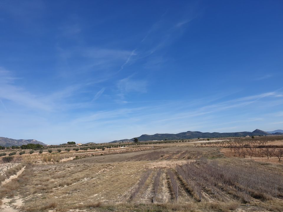Helårsgrund i Pinoso, Alicante - foto 1