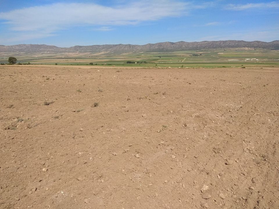 Helårsgrund i Yecla, Murcia - foto 2