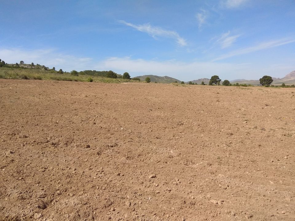 Helårsgrund i Yecla, Murcia - foto 4