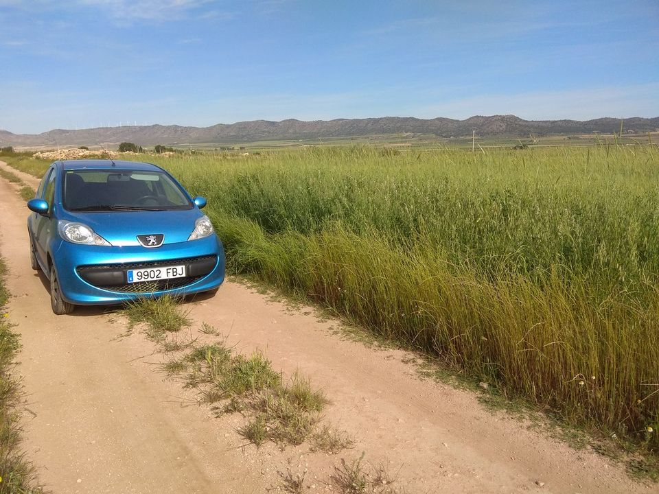 Helårsgrund i Yecla, Murcia - foto 5