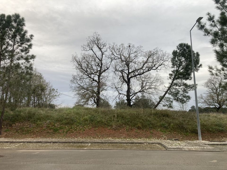 Helårsgrund i Condeixa-a-Nova, Coimbra - foto 2