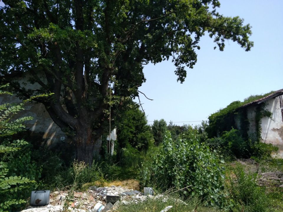 Helårsgrund i Carpi, Modena - foto 2