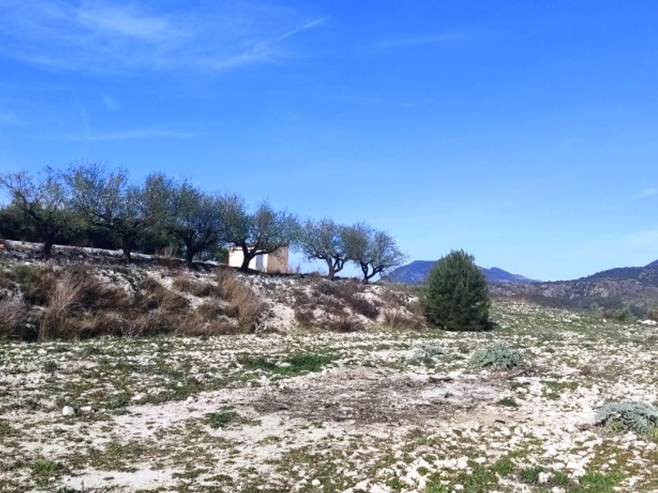 Tomt i Planes, Alicante - bilde 4