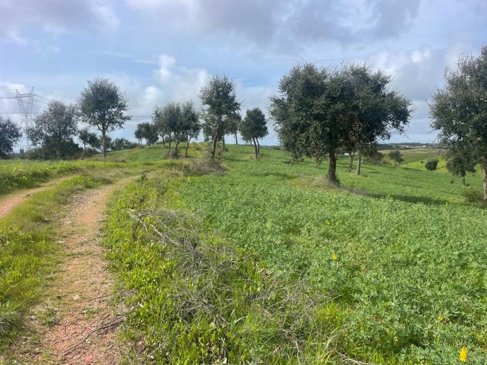 Helårsgrund i Sines, Setubal - foto 1