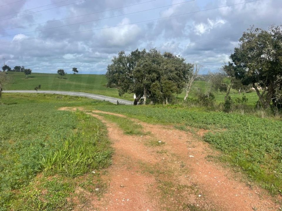 Helårsgrund i Sines, Setubal - foto 3