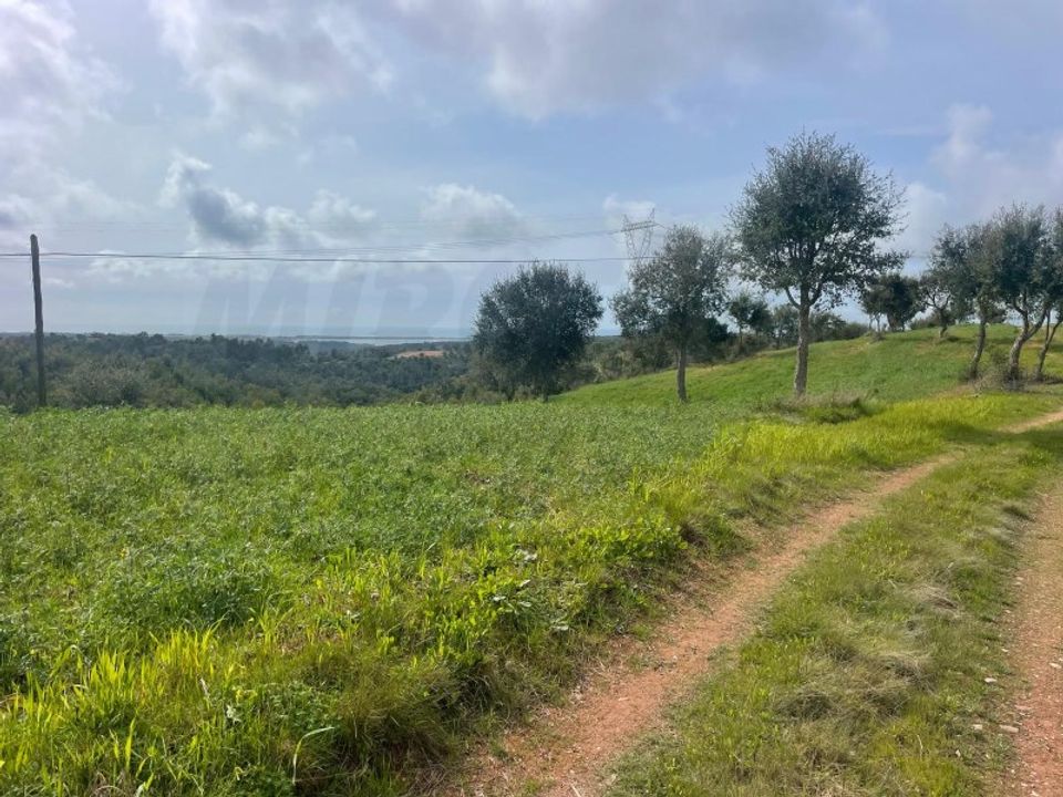Helårsgrund i Sines, Setubal - foto 4