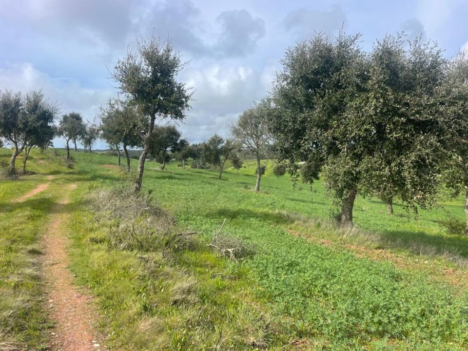 Helårsgrund i Sines, Setubal - foto 5