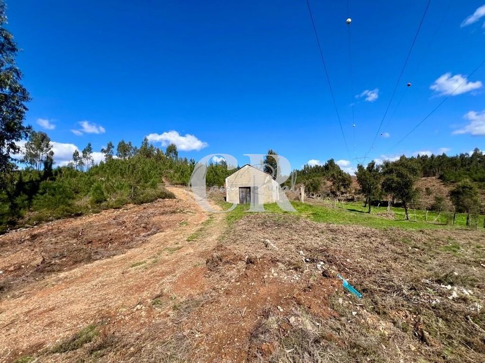Byhus i Pedrogao Grande, Leiria - foto 3