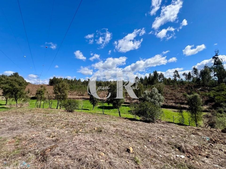 Byhus i Pedrogao Grande, Leiria - foto 4