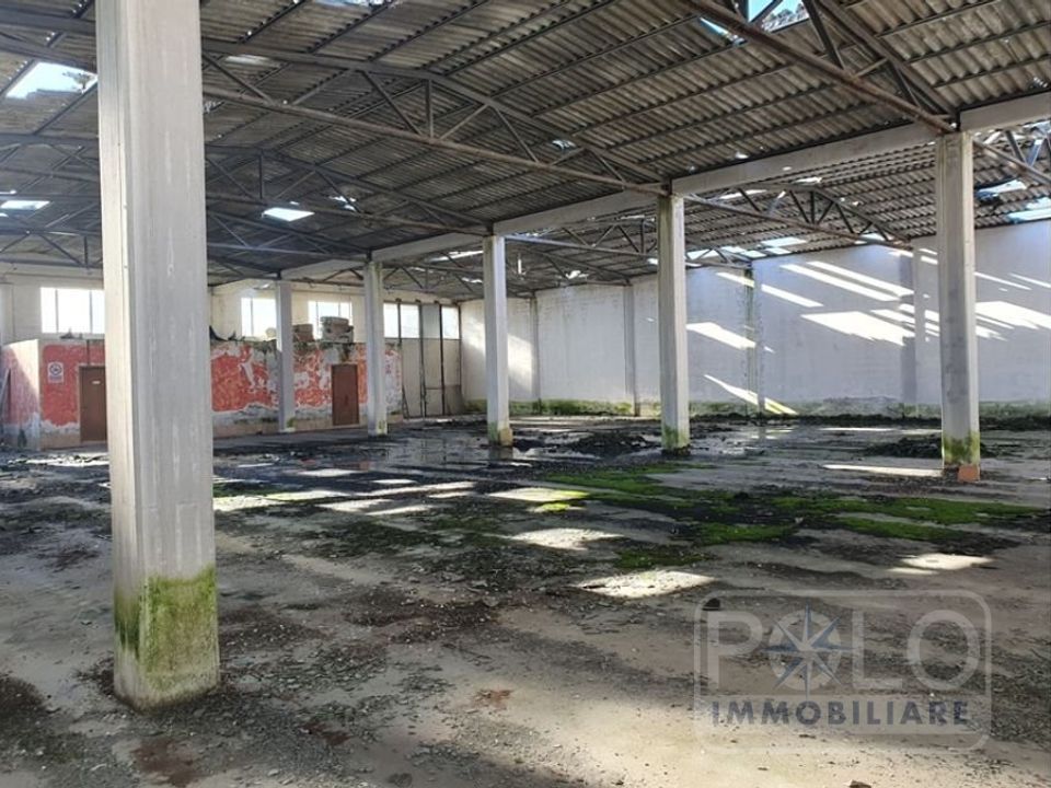 Erhvervsejendom i San Benedetto Po, Mantua - foto 1