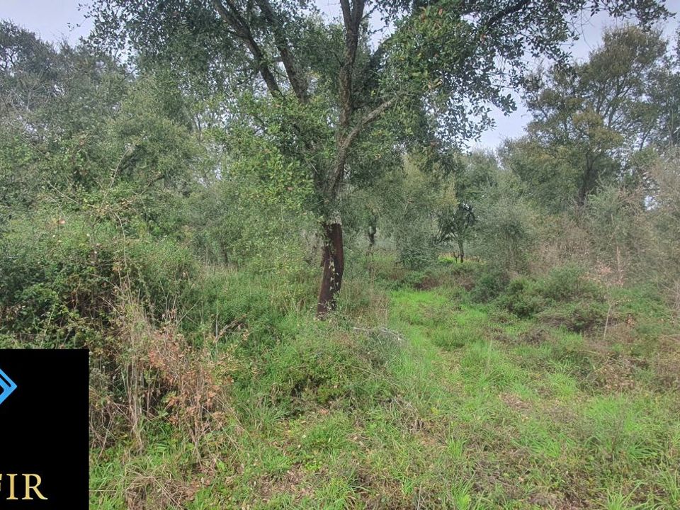 Helårsgrund i Tomar, Santarem - foto 2