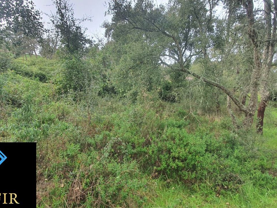 Helårsgrund i Tomar, Santarem - foto 3