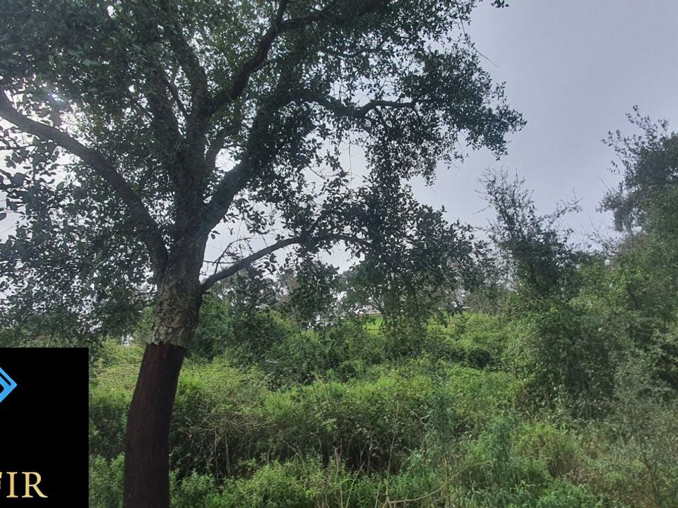 Helårsgrund i Tomar, Santarem - foto 4