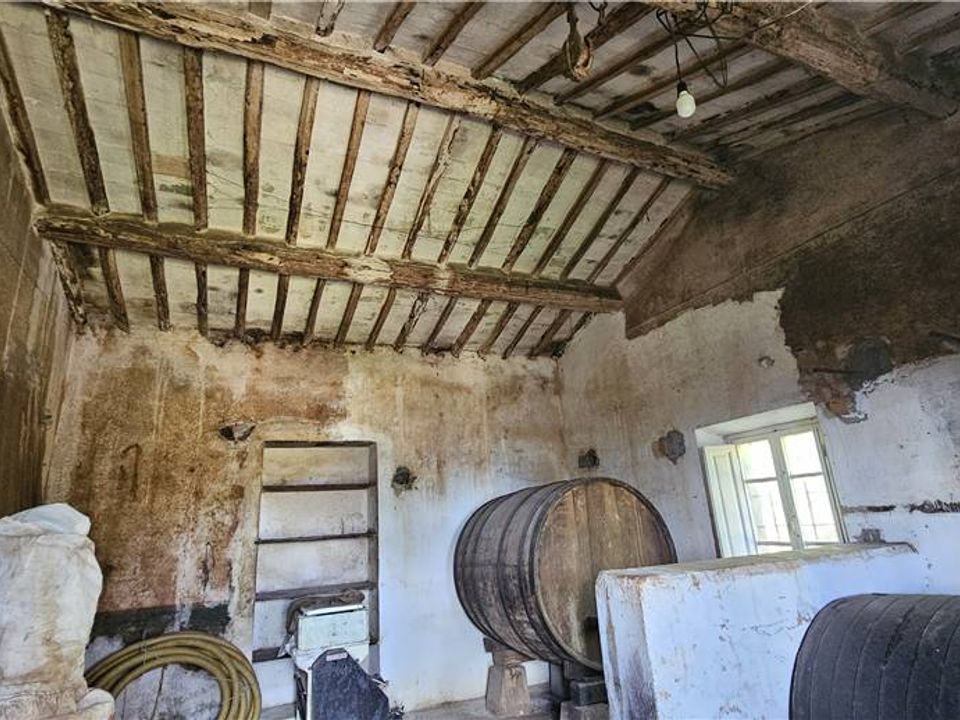 Herregård i Marciana, Livorno - bilde 4