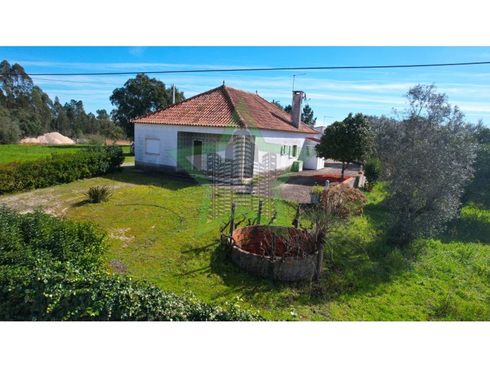 Farm i Tomar, Santarem - foto 1