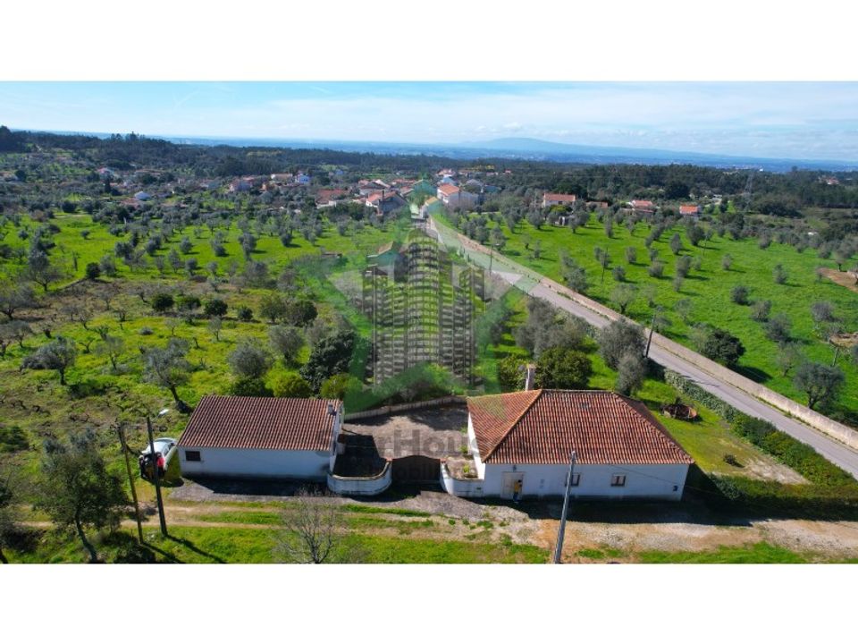 Farm i Tomar, Santarem - foto 3