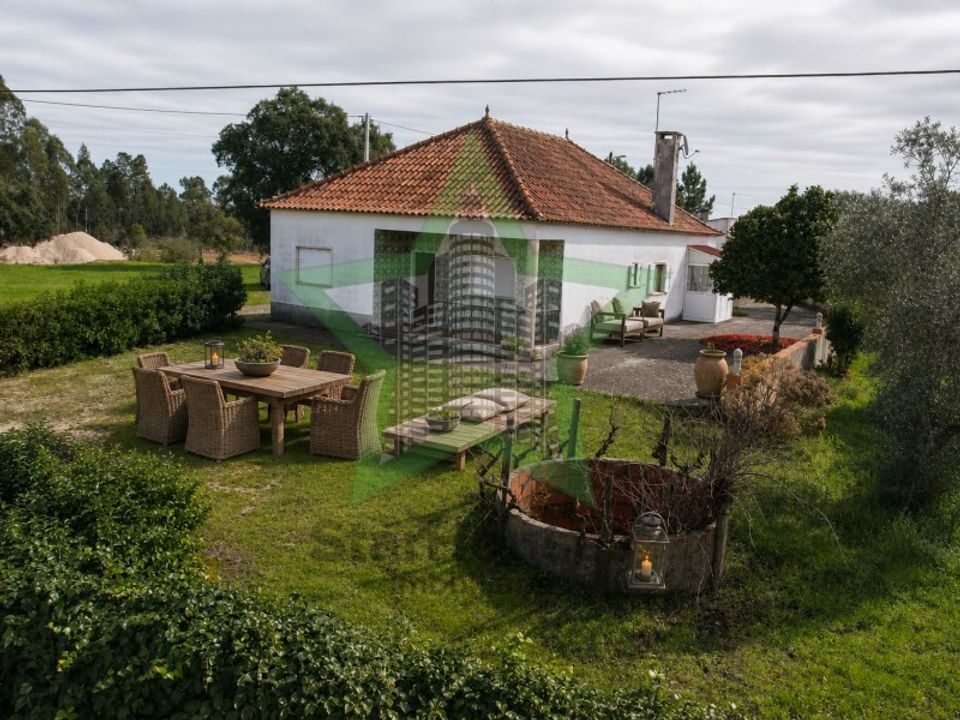 Farm i Tomar, Santarem - foto 1