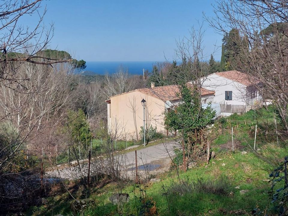 Helårsgrund i Ville-di-Paraso, Haute-Corse - foto 1