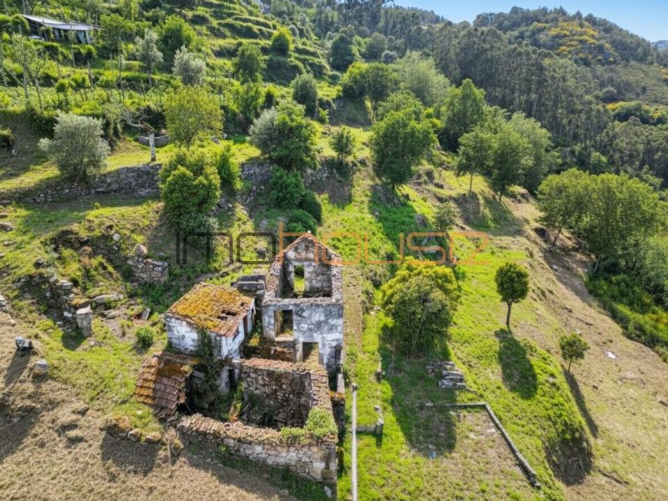 Farm i Tarouquela, Viseu - foto 3