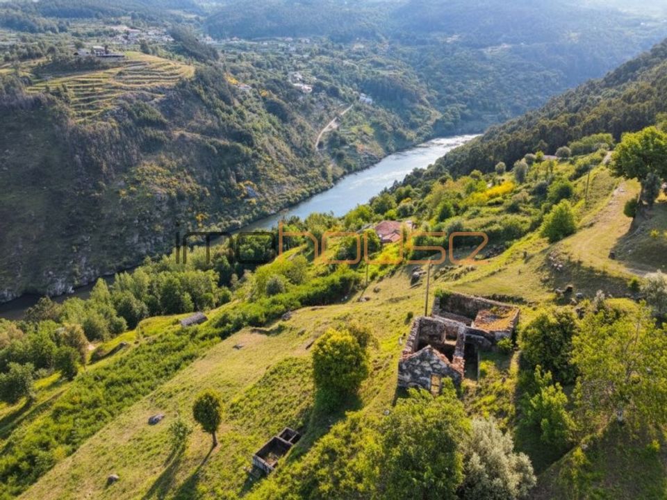 Farm i Tarouquela, Viseu - foto 4