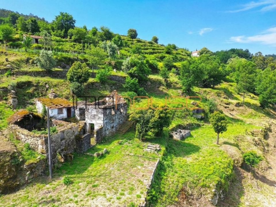 Farm i Tarouquela, Viseu - foto 5