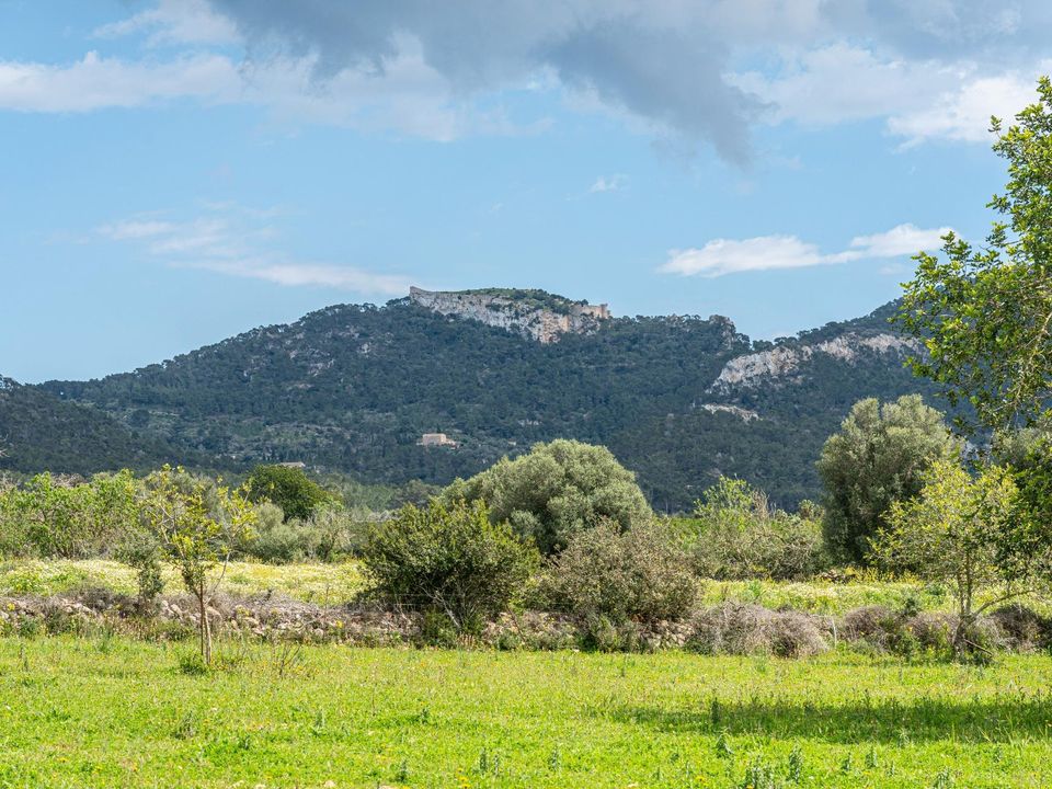 Grond in Felanitx, Mallorca - foto 1