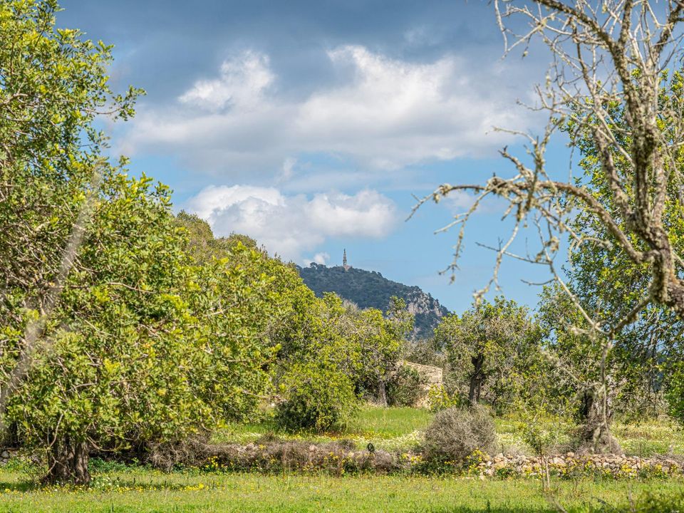 Grond in Felanitx, Mallorca - foto 2