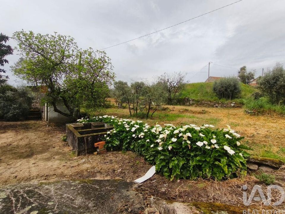 Byhus i Nelas, Viseu - foto 4