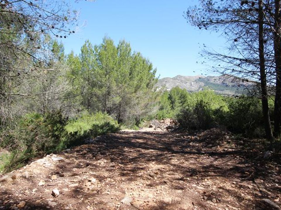 Helårsgrund i Jalon, Alicante - foto 1