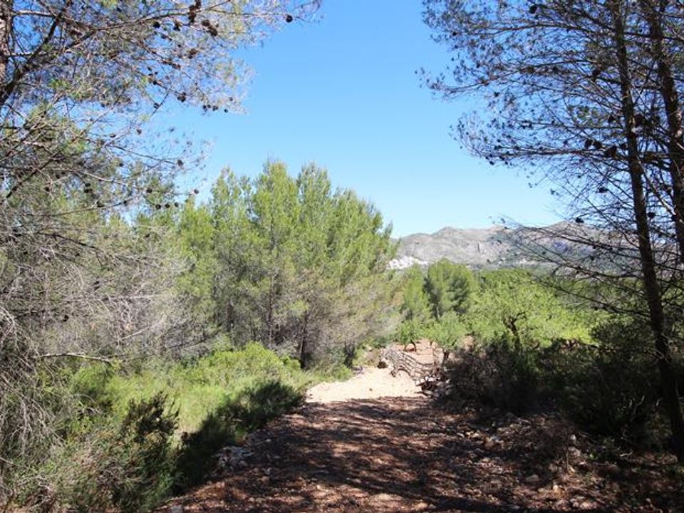 Helårsgrund i Jalon, Alicante - foto 2