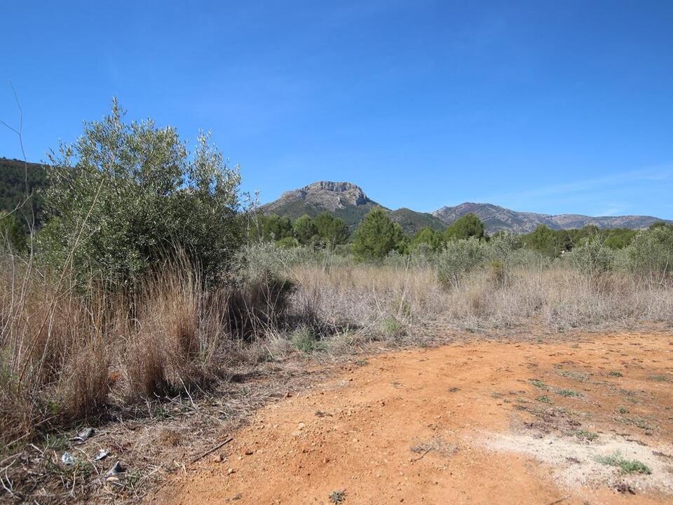 Helårsgrund i Jalon, Alicante - foto 1
