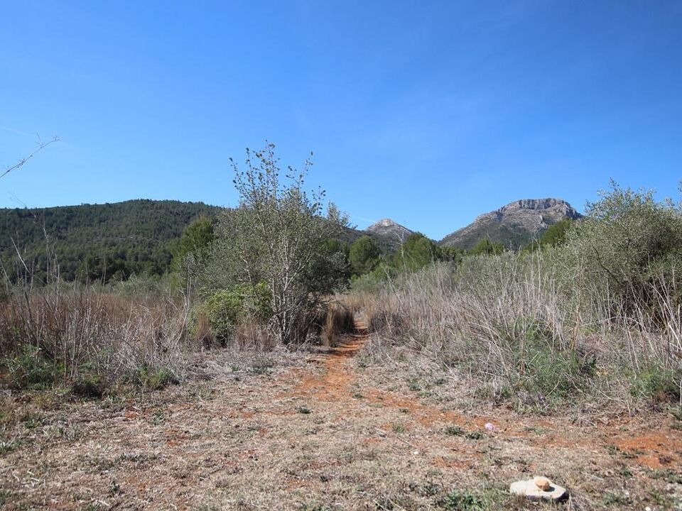 Helårsgrund i Jalon, Alicante - foto 3