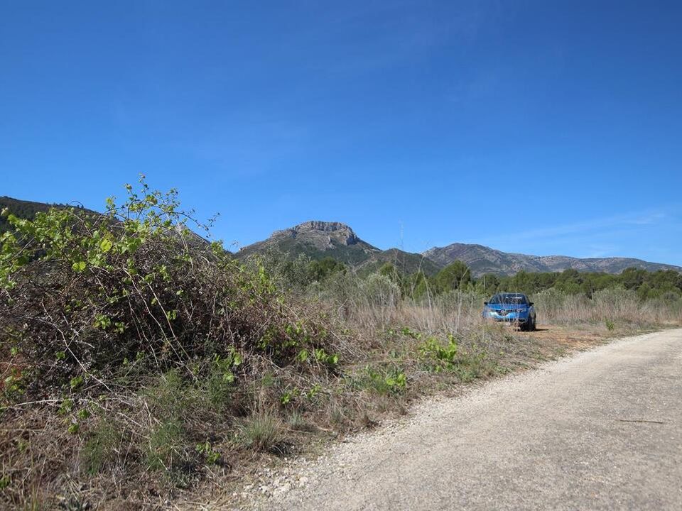 Helårsgrund i Jalon, Alicante - foto 4