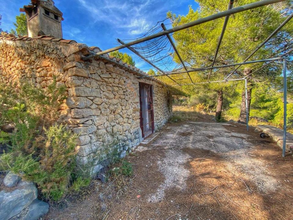 Helårsgrund i Jalon, Alicante - foto 4