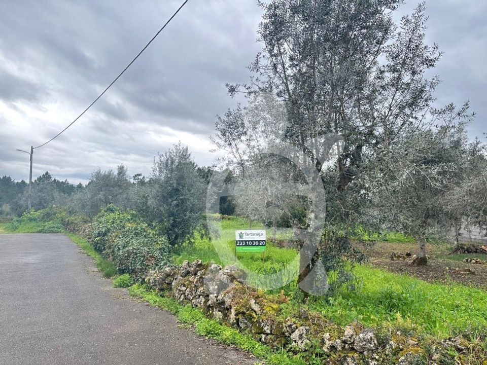 Tomt i Cernache, Coimbra - bilde 2