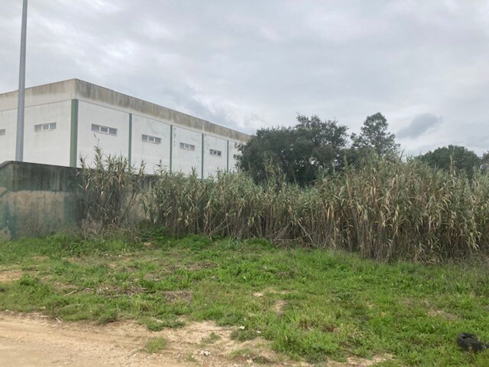 Tomt i Cartaxo, Santarem - bilde 1