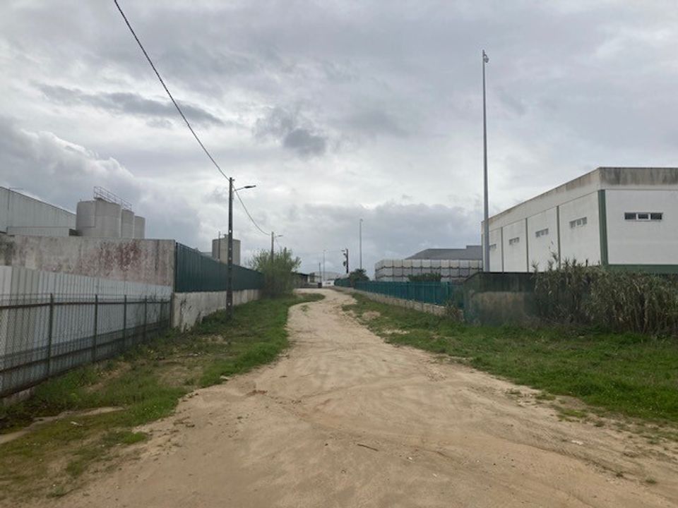 Tomt i Cartaxo, Santarem - bilde 4
