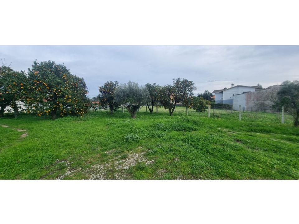 Helårsgrund i Souto da Carpalhosa e Ortigosa, Leiria - foto 1