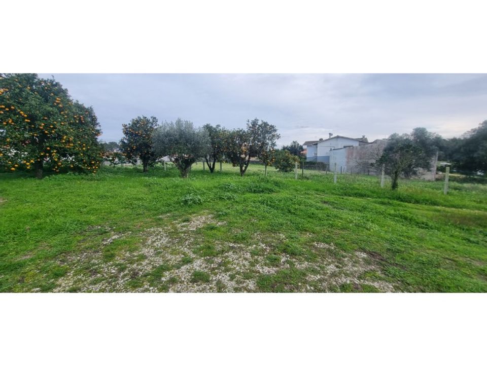Helårsgrund i Souto da Carpalhosa e Ortigosa, Leiria - foto 2