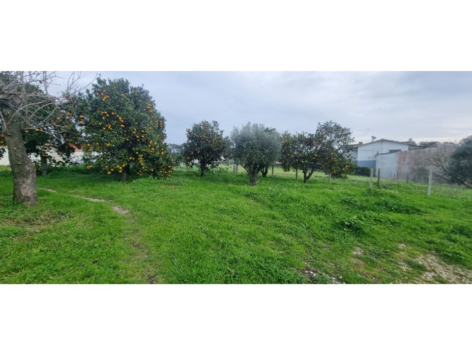 Helårsgrund i Souto da Carpalhosa e Ortigosa, Leiria - foto 3