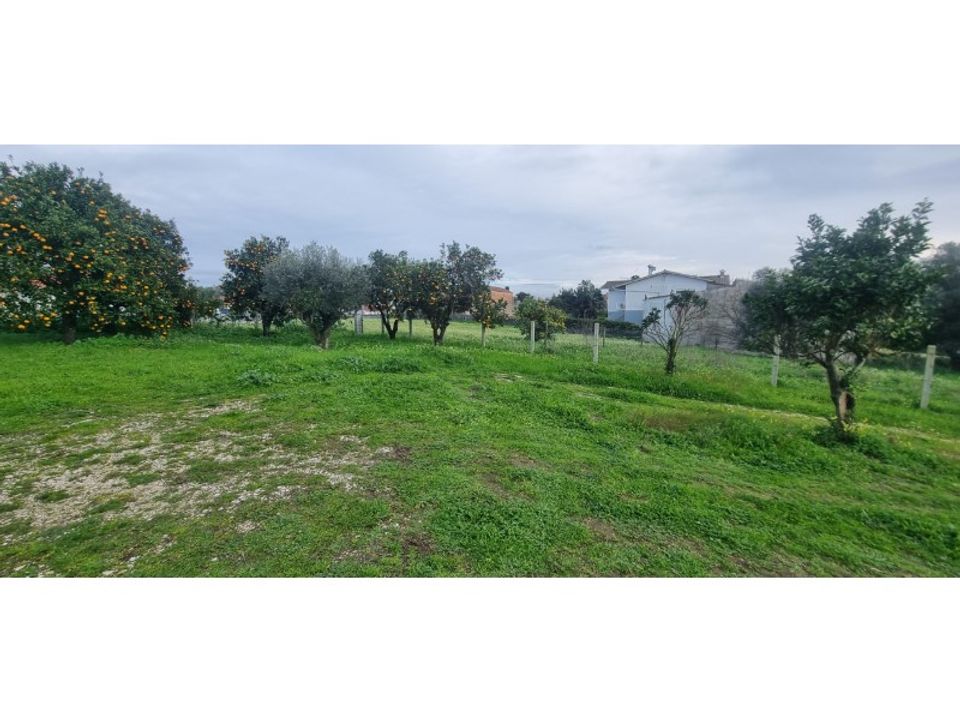 Helårsgrund i Souto da Carpalhosa e Ortigosa, Leiria - foto 4