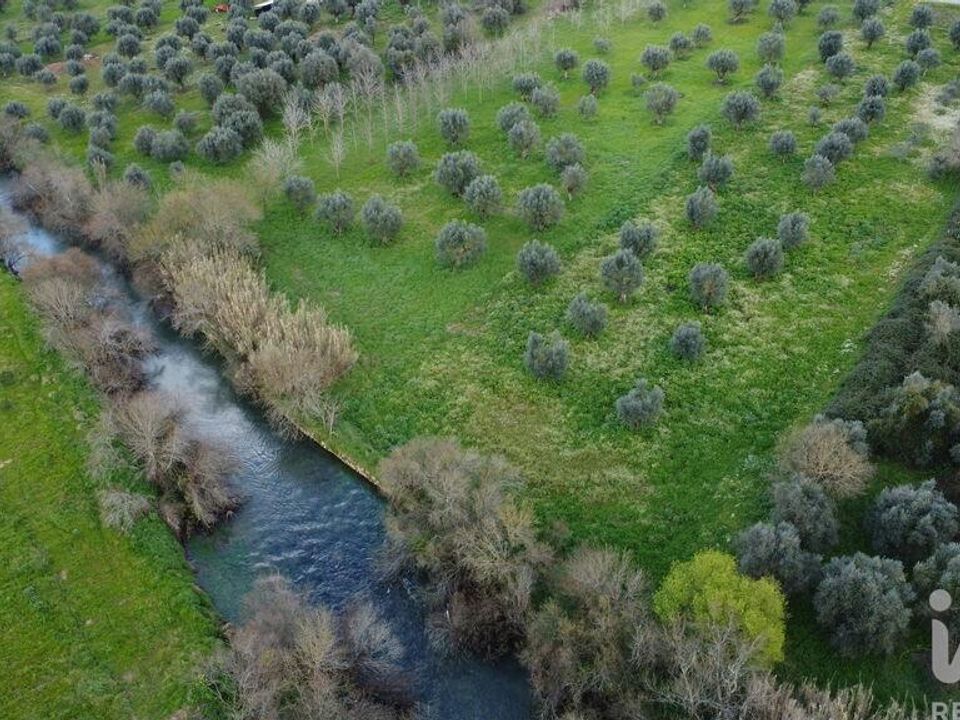 Helårsgrund i Ourem, Santarem - foto 1
