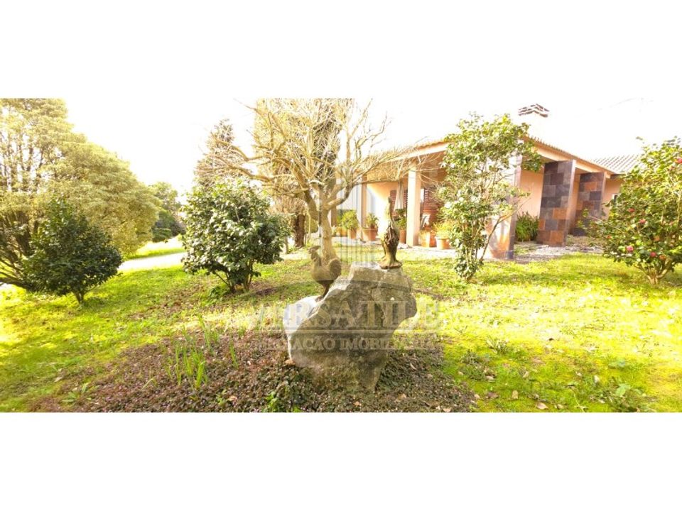 Granja a Aveiro, Aveiro - foto 3