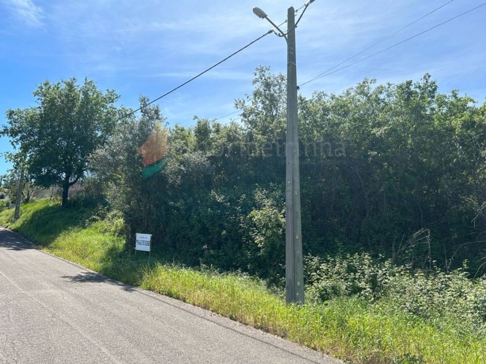 Helårsgrund i Colmeias, Leiria - foto 3