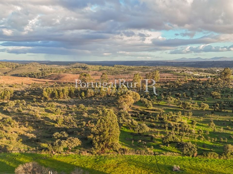 Landejendom i Arez e Amieira do Tejo, Portalegre - foto 5